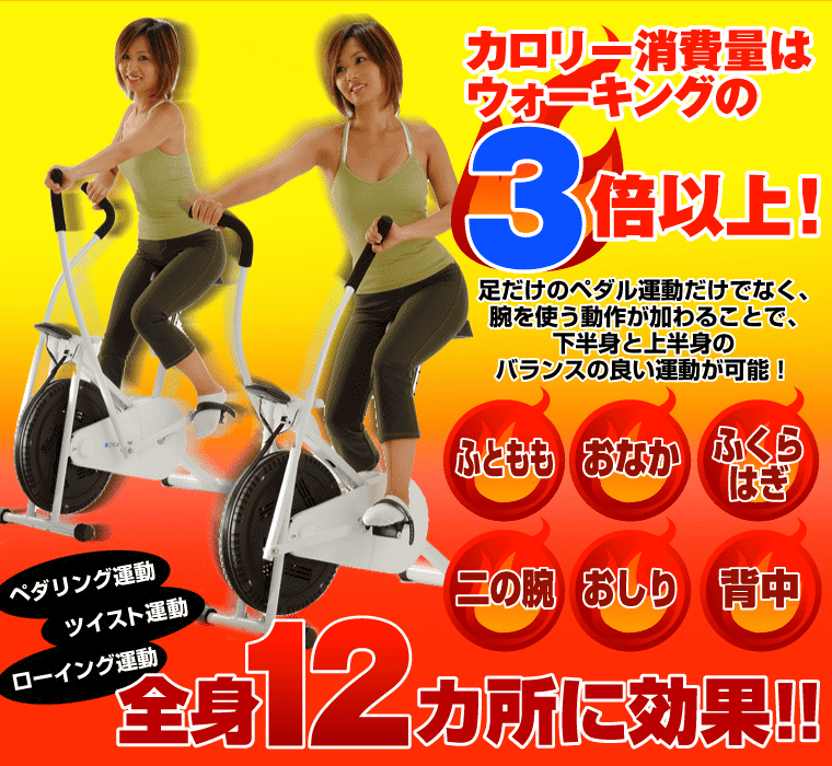 サイクルツイスタースリム