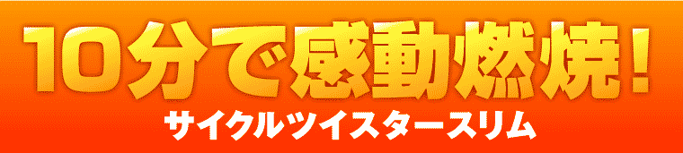 サイクルツイスタースリム